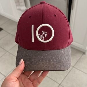 tentree Burgundy and Gray Cap
